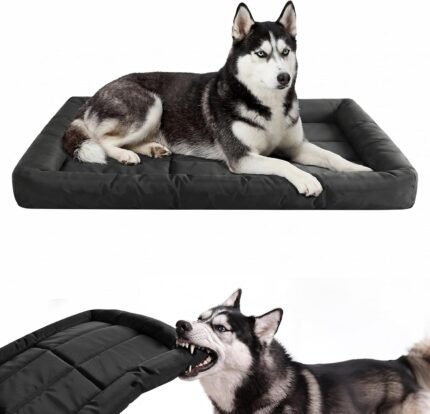 Chew Resistant Dog Bed, Indestructible Orthopedic Dog Bed, Medium (22″x35″)