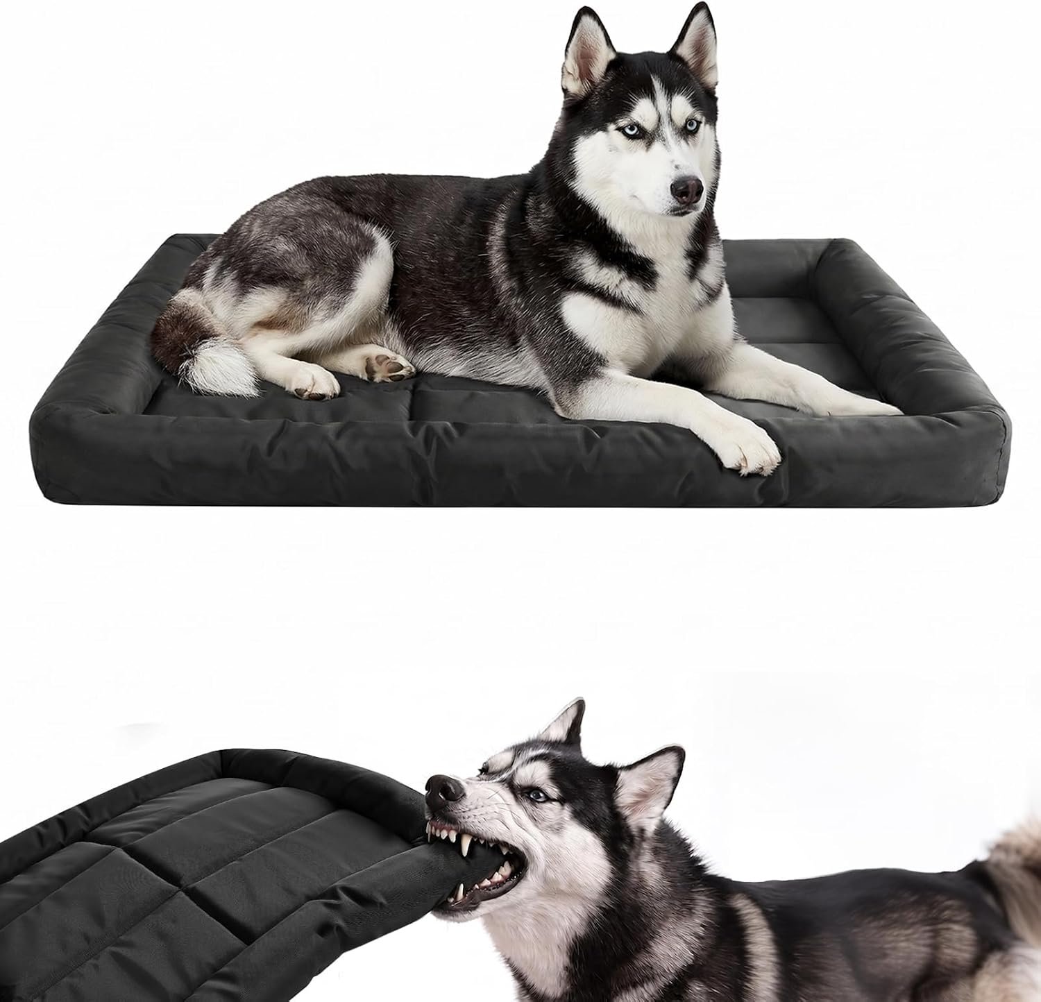 Chew Resistant Dog Bed, Indestructible Orthopedic Dog Bed, Medium (22″x35″) Chew Resistant Dog Bed, Indestructible Orthopedic Dog Bed, Medium (22″x35″)