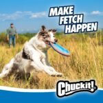 Chuckit! Max Glow Paraflight Flying Disc Dog Toy, Large, 1 Pack - Image 2