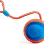 Chuckit! Rope Fetch Dog Toy, Ball on Rope, Durable EVA Rubber, 5.5-in