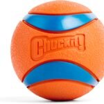 Chuckit! Ultra Ball Dog Fetch Toy, Large 3in, for 60-100lbs Dogs, Floats