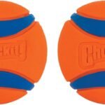 Chuckit! Ultra Ball Dog Toy, Durable Rubber, Small 2-in, 2 Pack