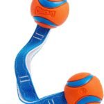 Chuckit! Ultra Duo Tug Dog Toy, Medium 2.5in, Orange and Blue, 20-60lbs