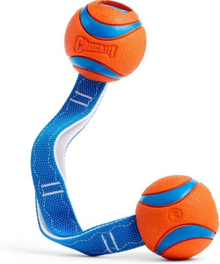 Chuckit! Ultra Duo Tug Dog Toy, Medium 2.5in, Orange and Blue, 20-60lbs
