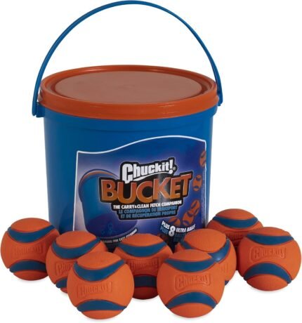 Chuckit! Ultra Rubber Dog Balls with Cleaning Bucket, Medium 2.5-in, 8-Pack
