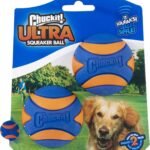 Chuckit! Ultra Squeaker Dog Balls, Floating, Medium 2.5-in, 2-Pack