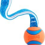 Chuckit! Ultra Tug Dog Toy, Medium, Fetch & Tug Ball for Dogs 20-60 Pounds