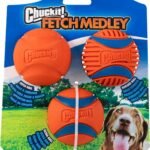 Chuckit! Ultra and Rugged Dog Balls, High-Bounce Fetch, Medium, Set of 3