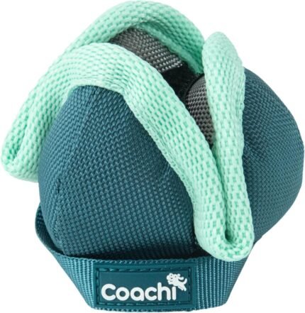 Coachi Puppy & Mini Chase & Treat – Great for Play and Chase