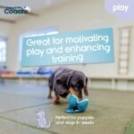 Coachi Puppy & Mini Chase & Treat - Great for Play and Chase - Image 2