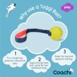 Coachi Tuggi Ball - Interactive Dog Toy for Tug of War & Play - Image 2