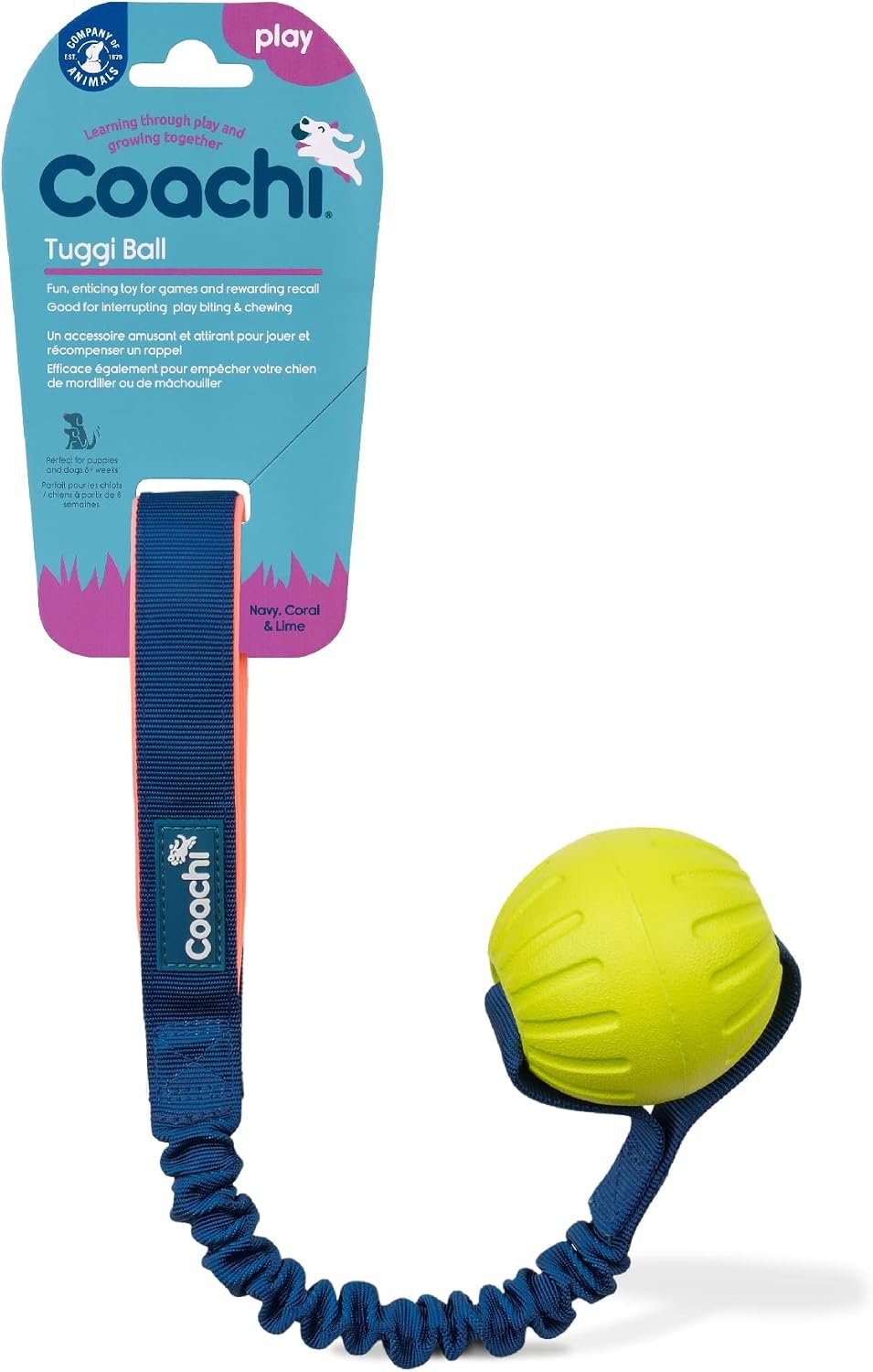 Coachi Tuggi Ball – Interactive Dog Toy for Tug of War & Play Coachi Tuggi Ball – Interactive Dog Toy for Tug of War & Play