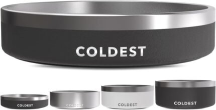 Coldest Dog Bowl, Insulated Stainless Steel Bowl (Stealth Black, 21 oz)