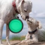 Collapsible Dog Bowls, Travel Dog Cat Water Bowl Portable Foldable Food Dishes with Carabiner Clip for Traveling, Hiking, Walking (Pack of 5) - Image 2