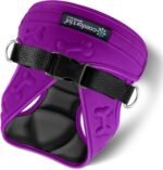 Comfort Fit Dog Harness, Purple, Small