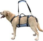 Coodeo Dog Lift Harness, Full Body Support & Recovery Sling, Pet Rehabilitation Lifts Vest for Old Dog with Arthritis Walk(Bule,L)