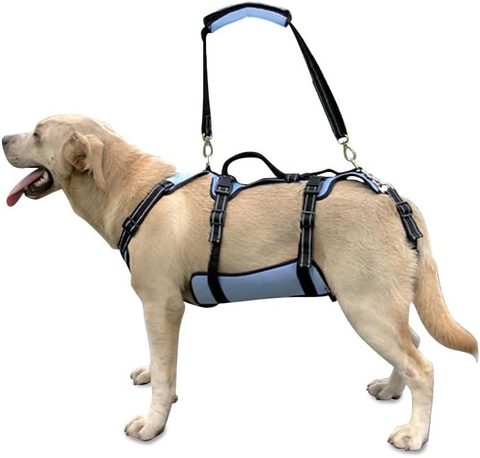 Coodeo Dog Lift Harness, Full Body Support & Recovery Sling, Pet Rehabilitation Lifts Vest for Old Dog with Arthritis Walk(Bule,L) Coodeo Dog Lift Harness, Full Body Support & Recovery Sling, Pet Rehabilitation Lifts Vest for Old Dog with Arthritis Walk(Bule,L)