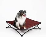 Coolaroo On-The-Go Elevated Dog Bed - Foldable Pop-Up Travel Dog Bed with Breathable, Moisture-Resistant Fabric, Carry Bag Included, Lightweight & Portable, Brick, Medium - Image 2