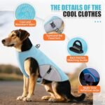 Cooling Vest for Dogs - Breathable Dog Cooling Vest UV Protection, Summer Heat Relief Gear for Small Medium Large Dogs, Lightweight, Evaporative Cooling - Dog Anxiety Relief Vest During Hot Days - Image 2