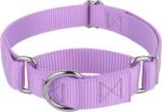 Country Brook Petz - Martingale Dog Collar - Heavy-Duty Training Collar with No Buckle - Service Dog Collar for All Pups - 20 Vibrant Colors (Lavender, 1 Inch, Medium)