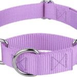 Country Brook Petz – Martingale Dog Collar – Heavy-Duty Training Collar with No Buckle – Service Dog Collar for All Pups – 20 Vibrant Colors (Lavender, 1 Inch, Medium)