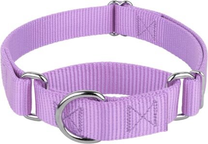 Country Brook Petz - Martingale Dog Collar - Heavy-Duty Training Collar with No Buckle - Service Dog Collar for All Pups - 20 Vibrant Colors (Lavender, 1 Inch, Medium)