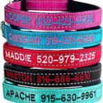 Custom Reflective Dog Collars with Embroidered Name and Phone Number, Soft Neoprene Padded Breathable Nylon Personalized Pet Collar Adjustable for Large Medium Small Dogs