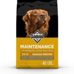 Diamond Maintenance Adult Dry Dog Food, Chicken Protein, 40lb