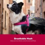 Didog No Pull Dog Harness for Medium Dogs, Breathable Mesh, Hot Pink, M - Image 2