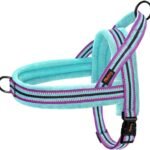 Didog No Pull Dog Harness for Medium Dogs, Soft Flannel Padded,Mixed-Blue,M