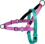 Didog No Pull Dog Harness for Medium Dogs, Soft Padded Handle, Dark Green,M