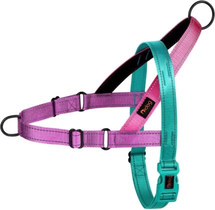 Didog No Pull Dog Harness for Medium Dogs, Soft Padded Handle, Dark Green,M