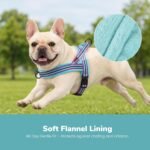 Didog No Pull Dog Harness for Small Dogs, Soft Flannel Padded, Mixed-Blue,S - Image 2