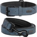 Didog PU Leather Dog Collar and Leash Set, Soft Padded, Blue, Neck 17-23″