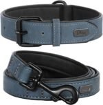 Didog PU Leather Dog Collar and Leash Set, Soft Padded, Blue, Neck 17-23"