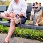Didog PU Leather Dog Collar and Leash Set, Soft Padded, Blue, Neck 17-23" - Image 2