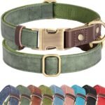 Didog PU Leather Dog Collar for Medium Dogs, Soft Nylon Lining, Green M