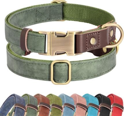 Didog PU Leather Dog Collar for Medium Dogs, Soft Nylon Lining, Green M