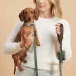 Didog PU Leather Dog Collar for Small Dogs Puppy, Soft Lining, Green S - Image 2