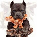 DinoBone 2-Pack Tough Dog Chew Toys for Aggressive Chewers, Rock-Hard Nylon