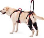Dog ACL CCL Knee Brace for Large Dogs, Set of 2 Hind Leg Braces with Handles & Shoulder Strap – Non-Slip Support for Injury, Arthritis & Post-Surgery Recovery, Black, Large