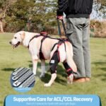 Dog ACL CCL Knee Brace for Large Dogs, Set of 2 Hind Leg Braces with Handles & Shoulder Strap – Non-Slip Support for Injury, Arthritis & Post-Surgery Recovery, Black, Large - Image 2