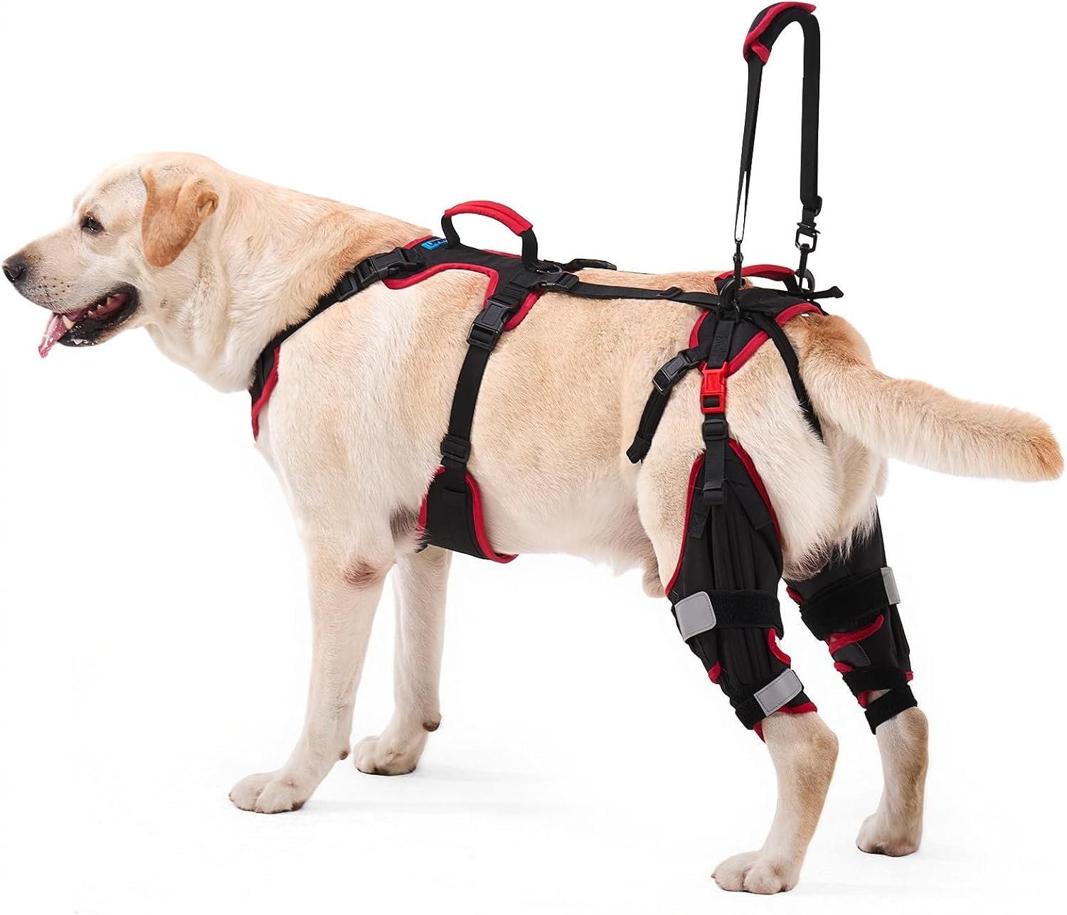 Dog ACL CCL Knee Brace for Large Dogs, Set of 2 Hind Leg Braces with Handles & Shoulder Strap – Non-Slip Support for Injury, Arthritis & Post-Surgery Recovery, Black, Large Dog ACL CCL Knee Brace for Large Dogs, Set of 2 Hind Leg Braces with Handles & Shoulder Strap – Non-Slip Support for Injury, Arthritis & Post-Surgery Recovery, Black, Large