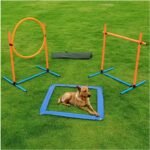 Dog Agility Set, Jump Ring, Jump Poles, Pause Box & Bag