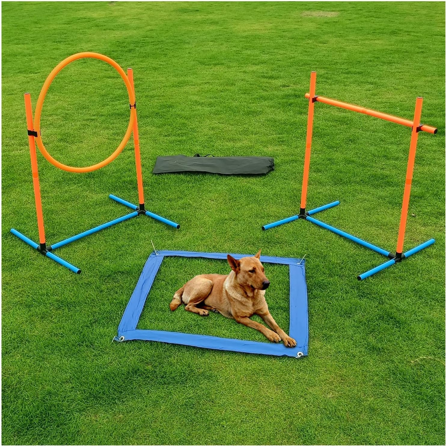 Dog Agility Set, Jump Ring, Jump Poles, Pause Box & Bag Dog Agility Set, Jump Ring, Jump Poles, Pause Box & Bag