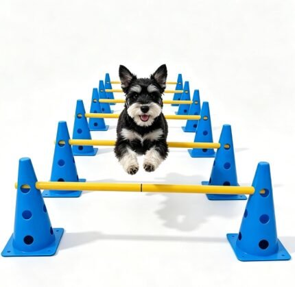 Dog Agility Training Equipment, 6-Hurdle Dog Obstacle Course Set with 12 Cones, 3 Adjustable Heights, Tool-Free Setup, Indoor & Outdoor Training for Beginners