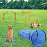 Dog Agility Training Equipment, Obstacle Agility Training Starter Kit for Doggie, Including Tunnel, 13 Weave Poles, Adjustable Hurdle, Jump Ring, Pause Box and Carrying Bag(Blue)
