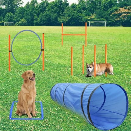 Dog Agility Training Equipment, Obstacle Agility Training Starter Kit for Doggie, Including Tunnel, 13 Weave Poles, Adjustable Hurdle, Jump Ring, Pause Box and Carrying Bag(Blue)