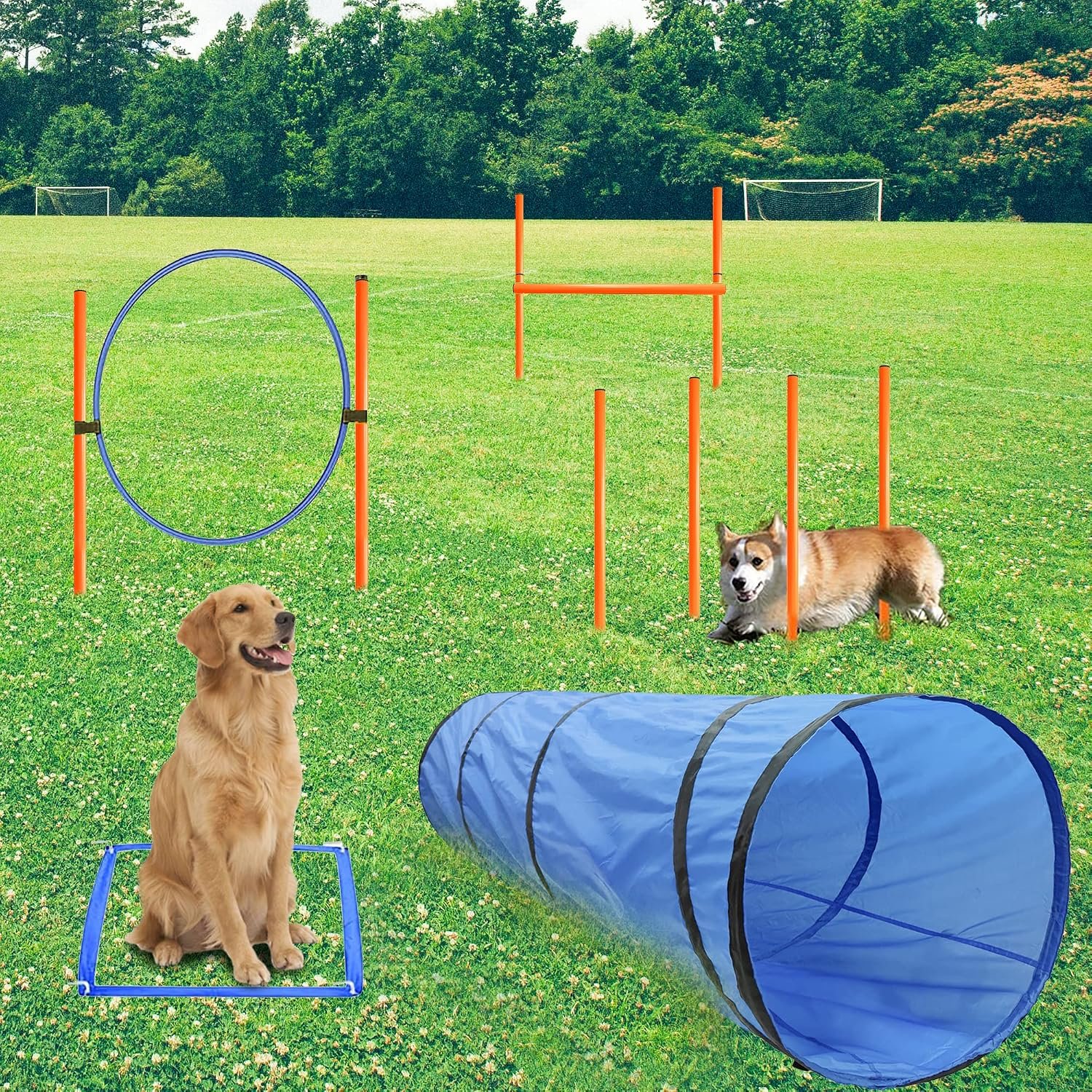 Dog Agility Training Equipment, Obstacle Agility Training Starter Kit for Doggie, Including Tunnel, 13 Weave Poles, Adjustable Hurdle, Jump Ring, Pause Box and Carrying Bag(Blue) Dog Agility Training Equipment, Obstacle Agility Training Starter Kit for Doggie, Including Tunnel, 13 Weave Poles, Adjustable Hurdle, Jump Ring, Pause Box and Carrying Bag(Blue)