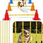 Dog Agility Training Hurdle Cone Set, Adjustable Dog Agility Equipment Obstacle Course Backyard Equipment for Pet Exercise